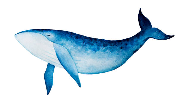 soñar con ballenas azules