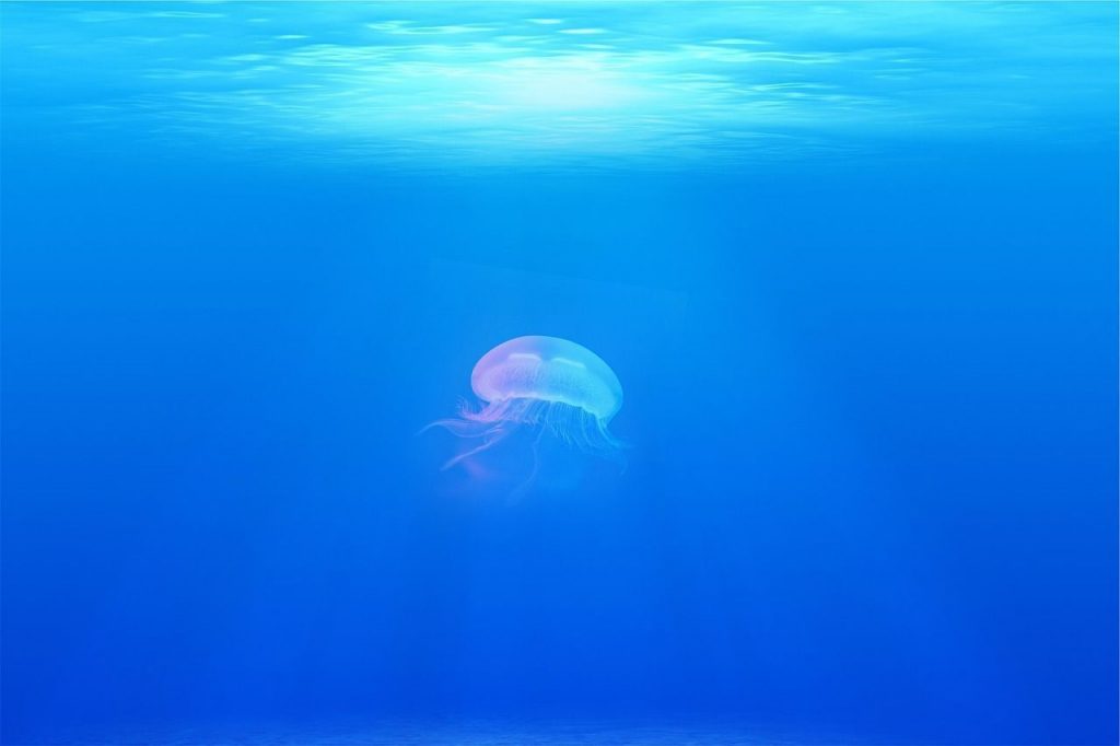 soñar con medusas gigantes